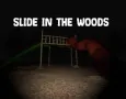 Are you ready to explore a serene yet creepy forest where an ancient slide hides something terrifying? Play Slide in the Woods, explore the woods at night, follow unusual clues, and face the horrors.