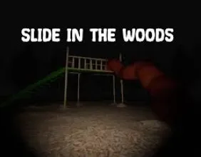 Slide in the Woods